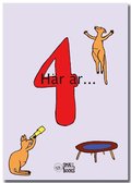 Här är 4