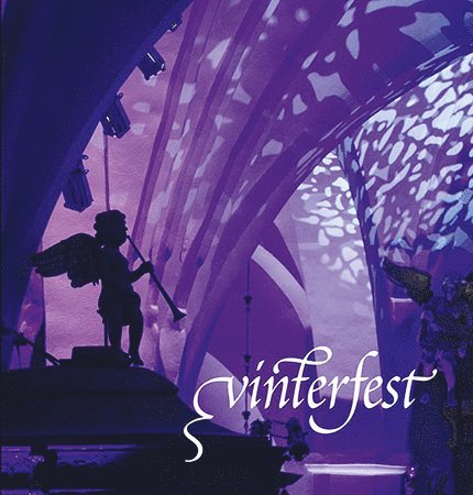 Vinterfest, Inbunden