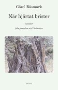 Nr hjrtat brister : noveller frn Jerusalem och Vstbanken