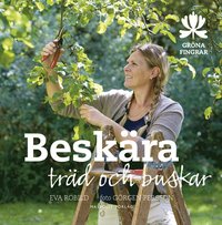 Besk�ra tr�d och buskar