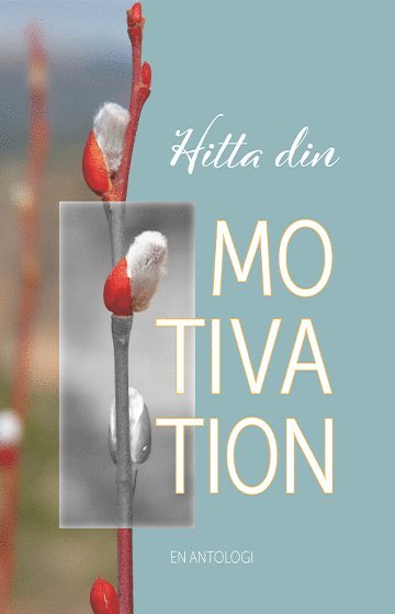 Nina Jansdotter, Monika Chanovian, Monica Poshman, Mikael Ahlberg, Marie-Louise Falk, Helena-Magdalena Ivekrans-Nätt, Gerd Wallin, Eleonore Hammare, Charlotte Ahlberg, Britta Lundkvist, Benny Fröjd, Annica Poring, Anna-Karin Jäntti, Andreas Ekblad, Agneta Orlå - Hitta din motivation, Kartonnage