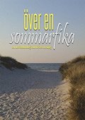 ver en sommarfika : en novellantologi om livets mening