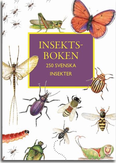 Insektboken : 250 svenska insekter, Häftad