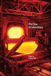 The Sea of Identities: A Century of Baltic and East European Experiences with Nationality, Class, and Gender.