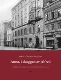 Anna, i skuggan av Alfred : fabriksarbeterskan och arkitekten i Malm 1915