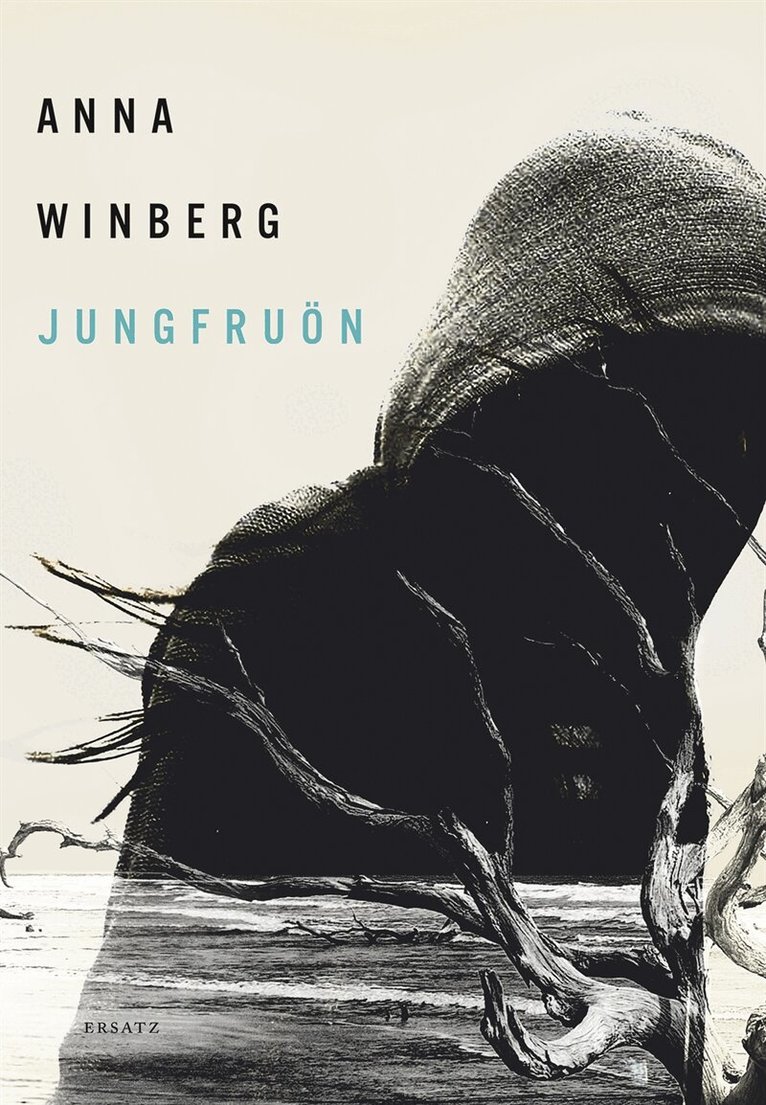 Anna Winberg - Jungfruön, E-bok