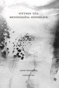 Vittnen till meningslsa hndelser