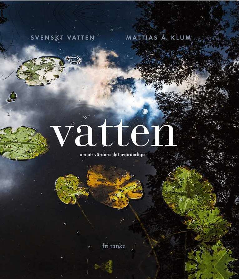 Anna Froster - Vatten : Om att värdera det ovärderliga, Inbunden