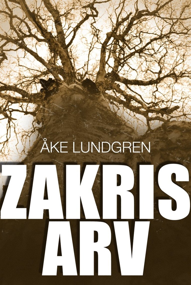 Åke Lundgren - Zakris arv, E-bok