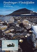 Vandringar i Vindelfjllen : dagbok 1977-2002