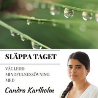 Ladda ner Mindfulness Släppa taget Ljudbok Pdf epub e Bok Gratis