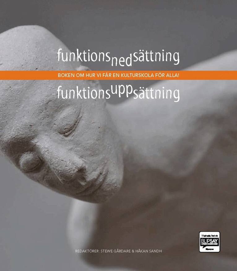Funktionsnedsättning - funktionsuppsättning : boken om hur vi får en kulturskola för alla!, Häftad