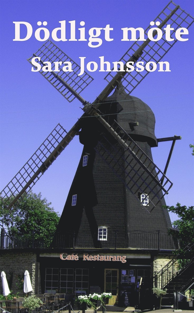 Sara Johnsson - Dödligt möte, E-bok