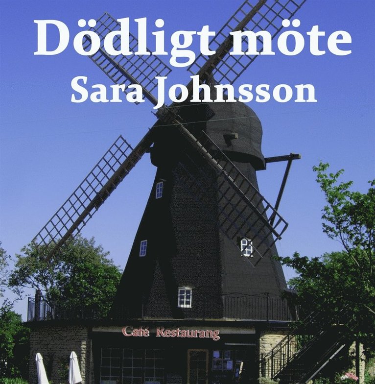 Sara Johnsson - Dödligt möte, Ljudbok