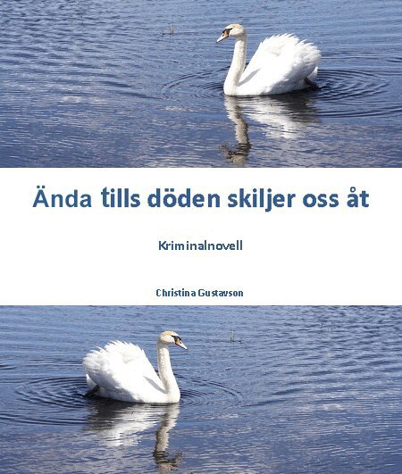 Christina Gustavson - Ända tills döden skiljer oss åt, E-bok