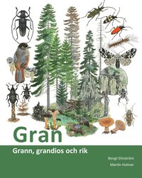 Gran : grann, grandios och rik