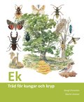 Ek : träd för kungar och kryp