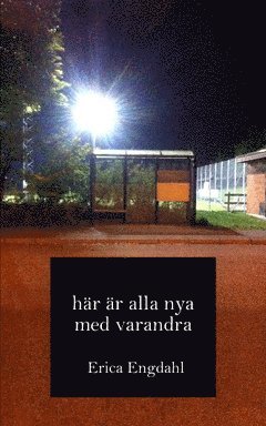 Erica Engdahl - Här är alla nya med varandra, Häftad