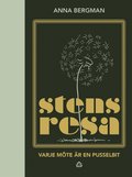 Stens resa