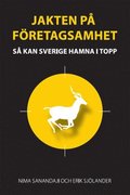 Jakten på företagsamhet