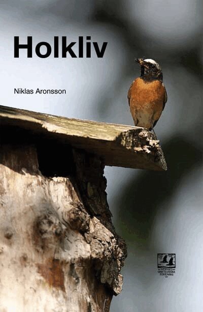 Niklas Aronsson - Holkliv, Inbunden
