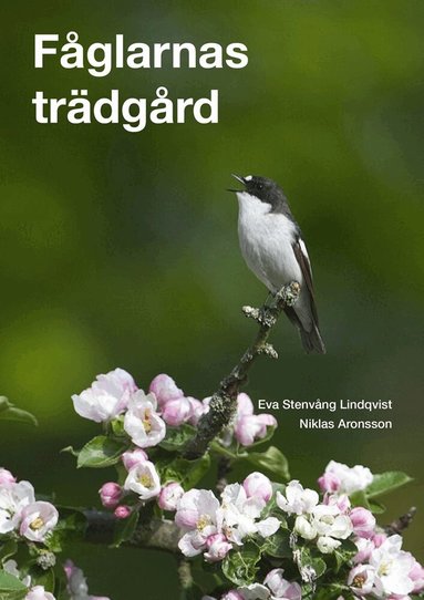 Niklas Aronsson, Eva Stenvång-Lindkvist - Fåglarnas trädgård, Inbunden
