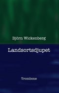 Landsortsdjupet