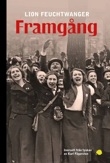 Lion Feuchtwanger - Framgång, Häftad