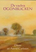 De vackra gonblicken