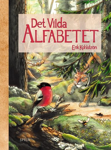 Erik Kohlström - Det vilda alfabetet, Inbunden