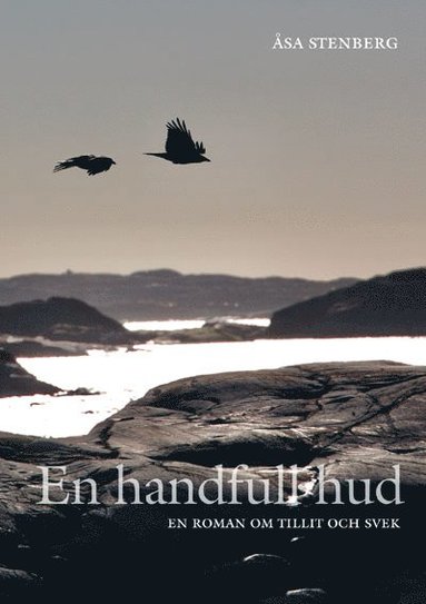 En handfull hud – En roman om tillit och svek