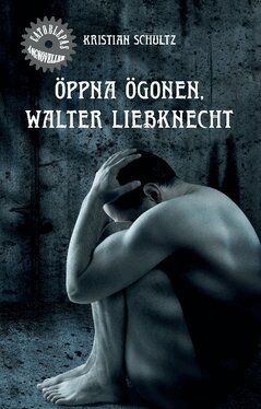 Kristian Schultz - Öppna ögonen, Walter Liebknecht, Häftad