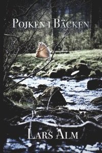 Pojken i bäcken