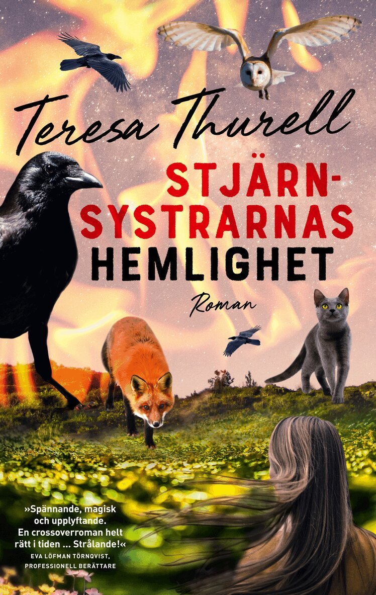 Teresa Thurell - Stjärnsystrarnas hemlighet, Kartonnage