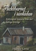 Flickebarnet i sävlådan : en tragisk historia från det fattiga Sverige