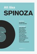 Att läsa Spinoza
