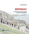 Brinna! : att gra skillnad som ledare i en ideell organisation