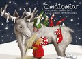 Sm�tomtar