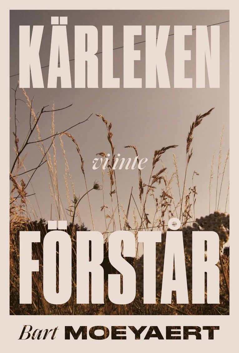 Bart Moeyaert - Kärleken vi inte förstår, E-bok