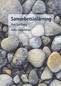 Pasi Sahlberg, Asko Leppilampi - Samarbetsinlärning, Häftad