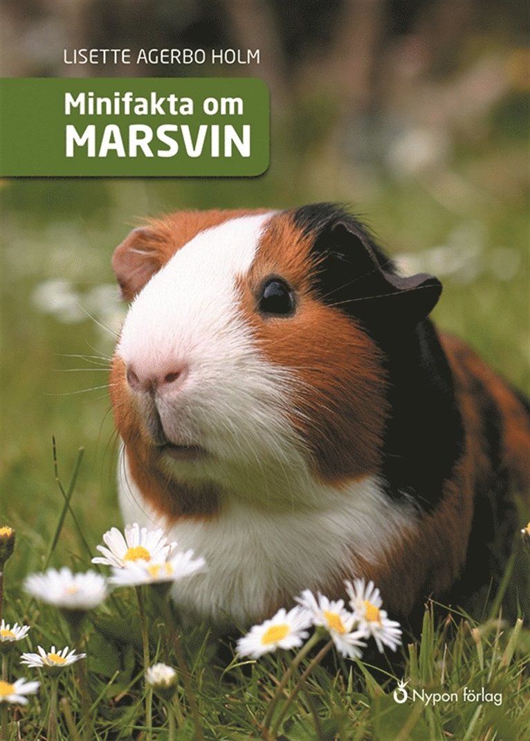 Lisette Agerbo Holm - Minifakta om marsvin, Ljudbok