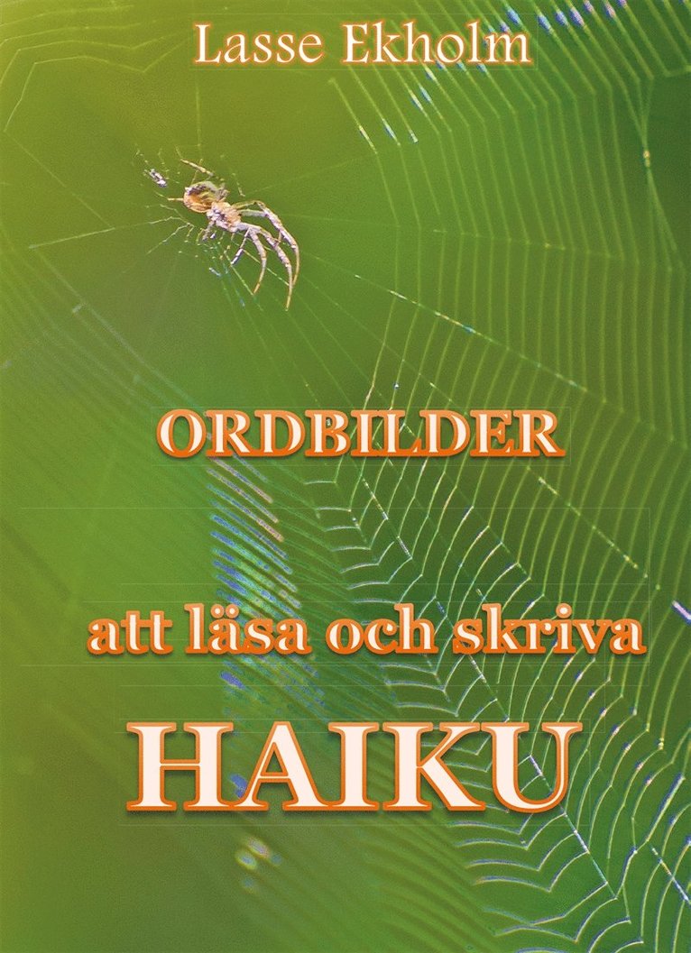 Lasse Ekholm - Ordbilder, E-bok