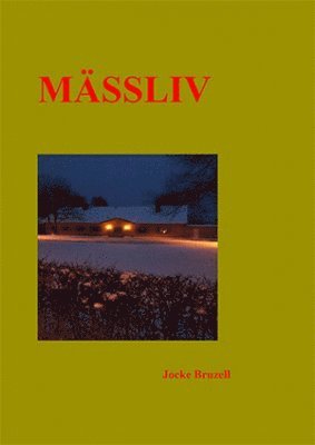 Jocke Bruzell - Mässliv, Häftad