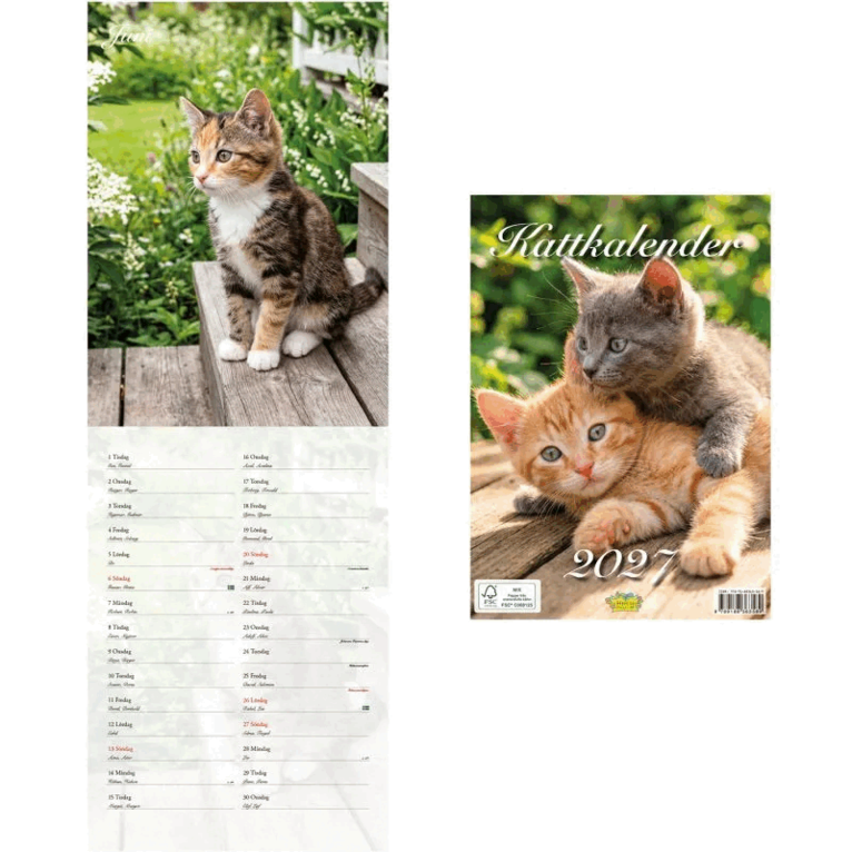 Kattkalender 2027, Övrigt