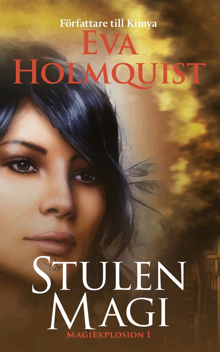 Eva Holmquist - Stulen magi, E-bok