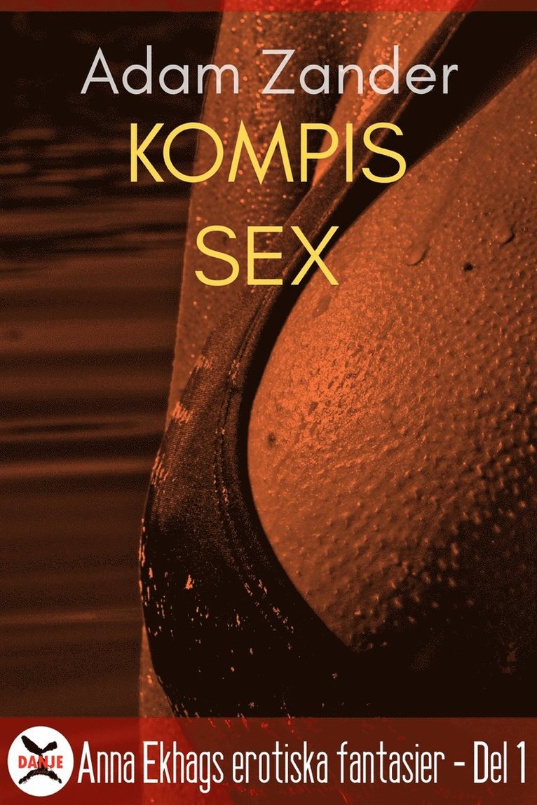 Adam Zander - Kompissex, E-bok