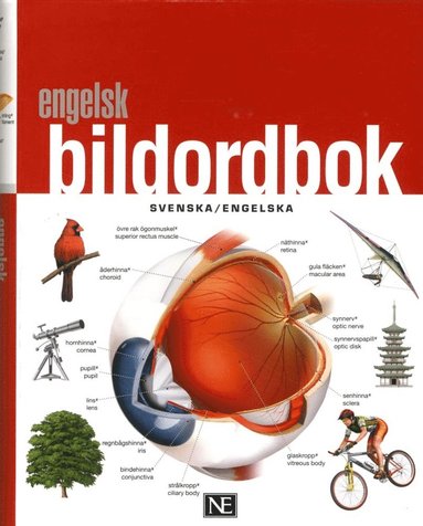 Ne Engelsk bildordbok svenska/engelska