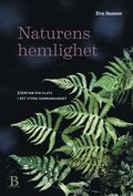 Naturens hemlighet : terfinn din plats i det stora sammanhanget