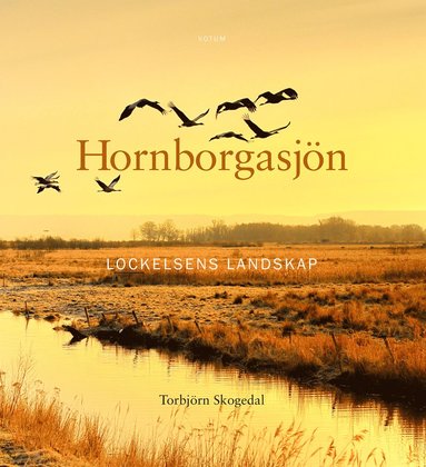 Torbjörn Skogedal Hornborgasjön : Lockelsens landskap