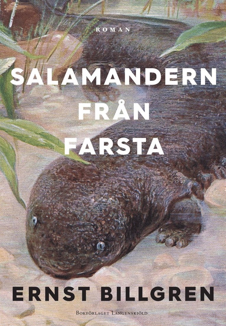 Ernst Billgren - Salamandern från Farsta, E-bok